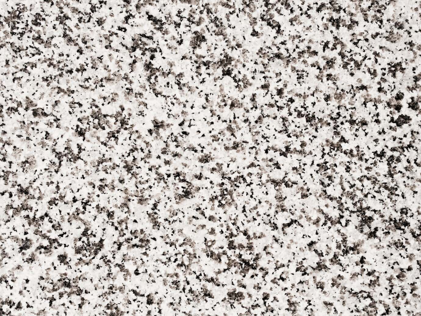 Terrazzo Floor Cleaning