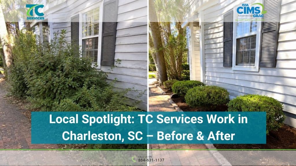 Local Spotlight TC Services Work in Charleston, SC – Before & After